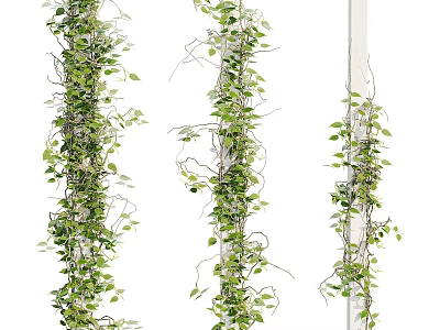 Lush Green Vines With Twining Stems And Fresh Leaves As Decorative Plants 3d model