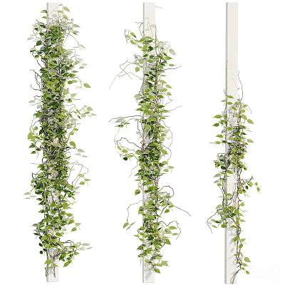 Modern Vine Creeper Plant Wall 3d model