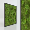 Living Plant Wall In Modern Interior Space With Lush Green Foliage Decorative Design