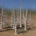 Dry Wooden Tree Trunks On Sandy Stone Ground Natural Landscape