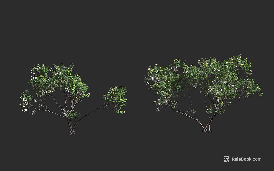 Shrubs With Green Foliage And Various Sizes For Garden Landscape Design 3d model 