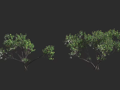 Shrubs With Green Foliage And Various Sizes For Garden Landscape Design 3d model