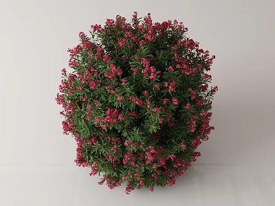 Lush Potted Flowering Plant with Green Leaves and Small Pink Flowers 3d model