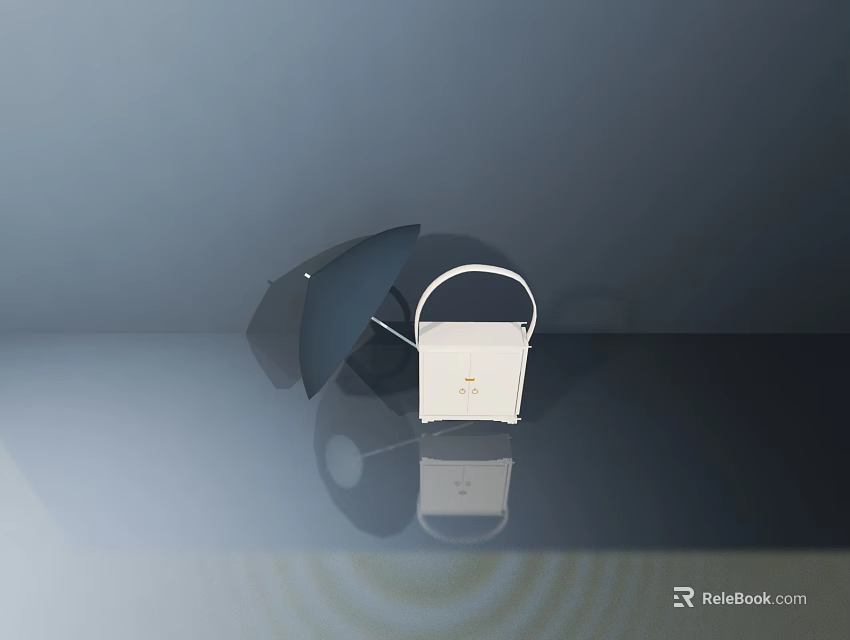 Stylish Black Umbrella And White Handbag Essential Daily Living Items 3d model 