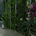 Indoor Lush Green Plant Wall With Pink White Flowers And Potted Plants