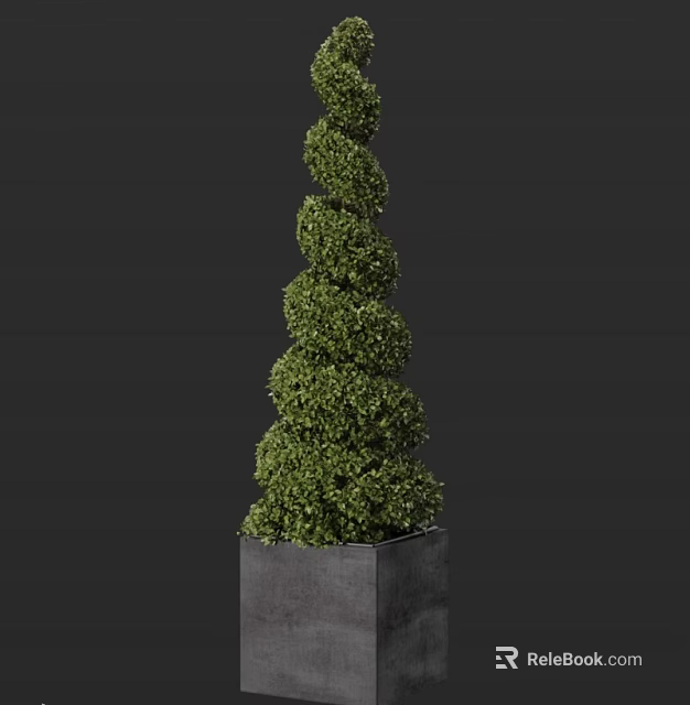 Spiral Shaped Green Topiary Shrub In Square Planter With Lush Foliage 3d model 