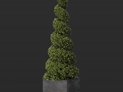 Spiral Shaped Green Topiary Shrub In Square Planter With Lush Foliage 3d model