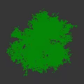 Tall Arbor With Lush Green Leaves And Strong Trunk In Natural Environment