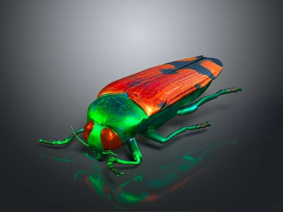 Vibrant Green Headed Beetle With Red Orange Wings And Reflective Surface 3d model