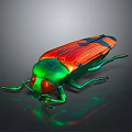 Vibrant Green Headed Beetle With Red Orange Wings And Reflective Surface