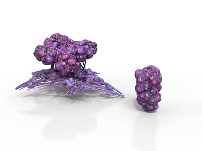 Purple Organ And Hair Resembling Structures With Large Base And Small Formation 3d model