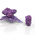 Purple Organ And Hair Resembling Structures With Large Base And Small Formation