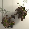 Decorative Ornament Set With Hanging Wooden Roots Moss Black Stones And Small Plants