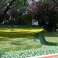 Residential Landscape With Sunlit Green Lawn Trees Bushes And Flying Birds