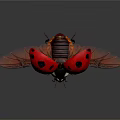 Ladybug Red With Black Spots Spreading Wings On Black Background With Reflection