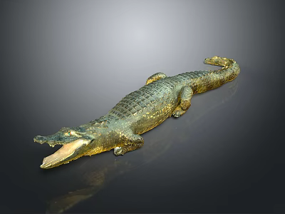 Realistic Crocodile Model With Open Mouth And Green Golden Skin On Grey Background 3d model