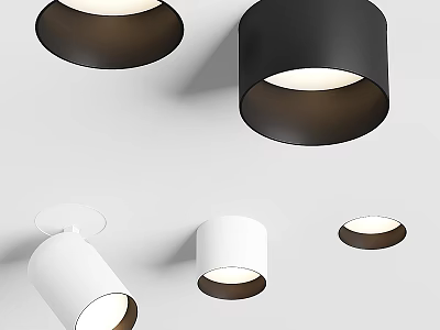 Sleek Modern Black And White Downlights And Spotlights For Home Ceiling Lighting 3d model
