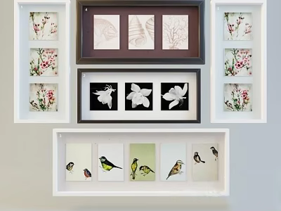 Decorative Framed Plant Paintings With Various Botanical Art For Interior Wall Decor 3d model