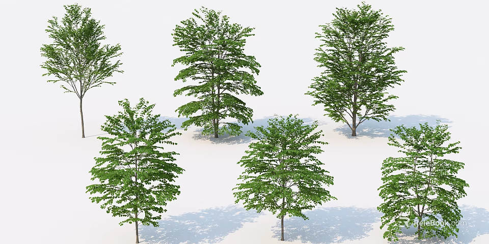 Arbor Trees With Multiple Green Foliage Shapes And Shadows On White Background 3d model