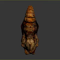 Grilled Pork Rib With Orange Red Color And Roasted Surface Texture On Dark Background