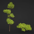 Cartoon Scene Featuring Lush Green Trees With Spiral And Round Canopies