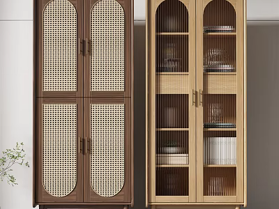 Modern Bookcases With Dark Brown Rattan Doors And Light Wood Glass Doors Holding Books 3d model