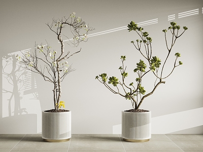 modern potted plant model