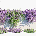 Lush Green Wall With Vibrant Purple Flowers And Foliage For Interior Decoration