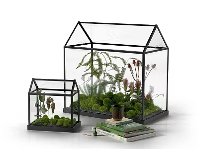 Decorative Ornament Set With Small And Large Glass Greenhouse Terrariums Plants And Stacked Books 3d model