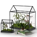 Decorative Ornament Set With Small And Large Glass Greenhouse Terrariums Plants And Stacked Books