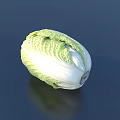 Fresh Green White Cabbage with Crisp Leaves on Dark Background 3d model