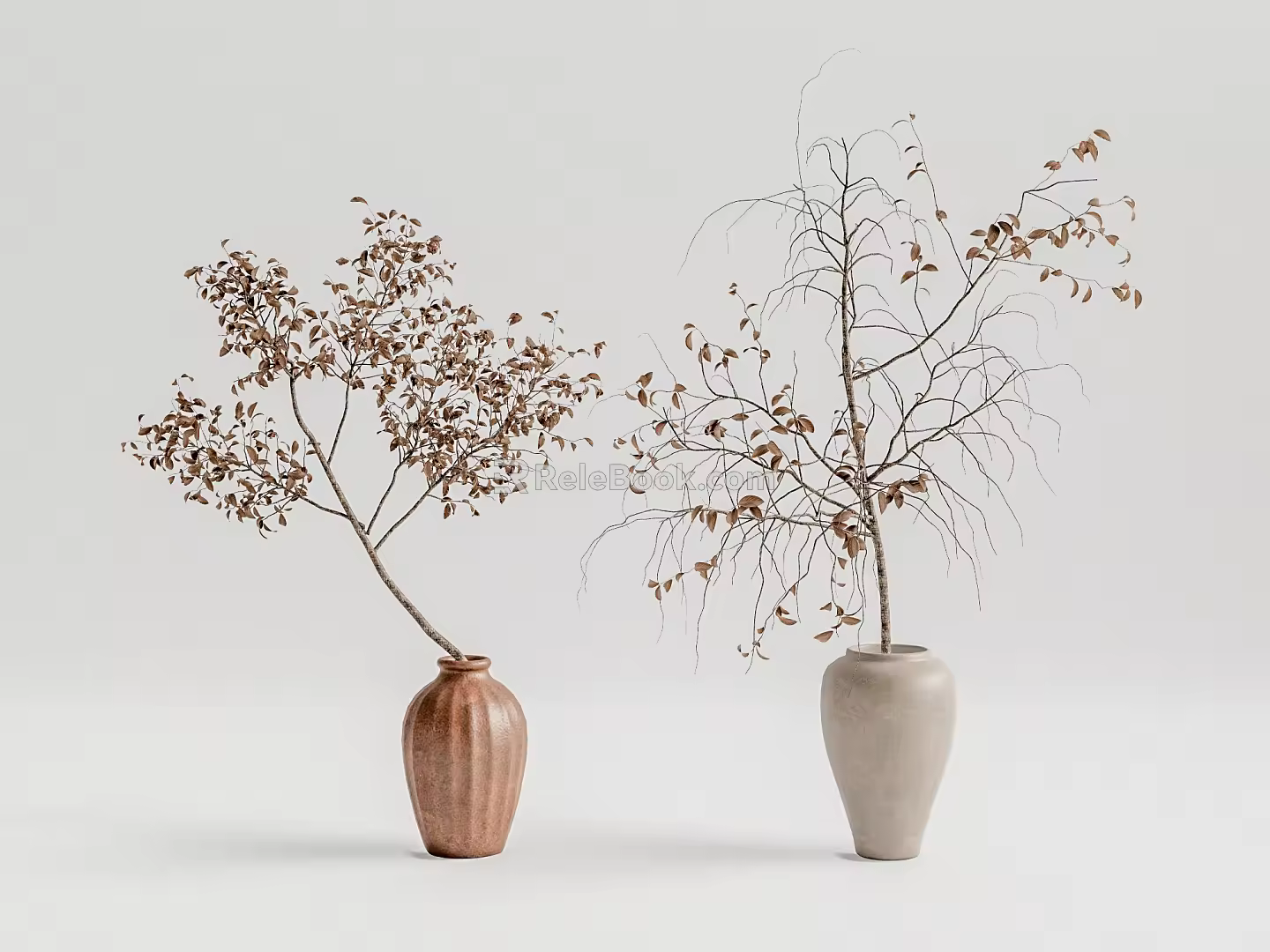 Bonsai 3d model