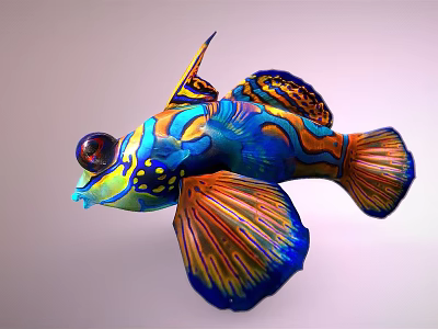 Vibrant Tropical Fish With Blue Orange Yellow Colors Intricate Patterns And Colorful Fins And Tail 3d model