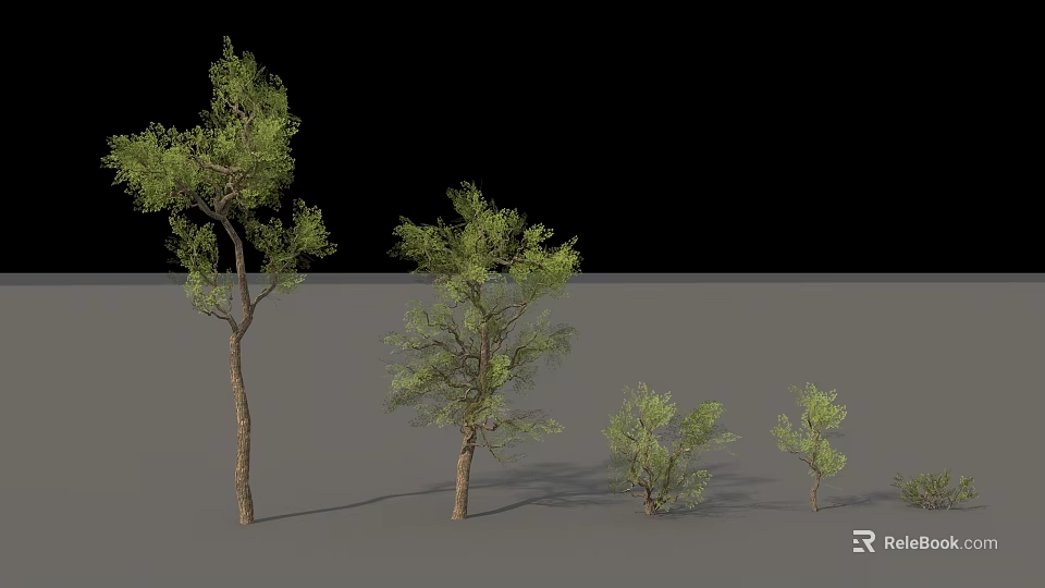 Green Arbor Trees of Various Sizes Display Lush Foliage in Outdoor Landscape 3d model 
