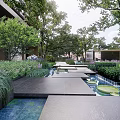 Lush Urban Landscape Garden with Reflecting Pool Purple Flowers and Sculpture