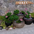 Beautiful Garden Ornaments With Lotus Plants Ceramic Pots Stone Wall And Wooden Sign