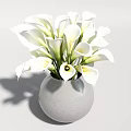 Beautiful White Calla Lilies in a Modern Gray Vase for Home Decoration