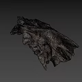 Animal Skull Specimen With Identification Number 2385 And Detailed Bone Structure