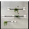 Modern Hanging Lighting Combinations With Black Rectangular Bars White Spherical Bulbs And Green Trailing Plants 3d model