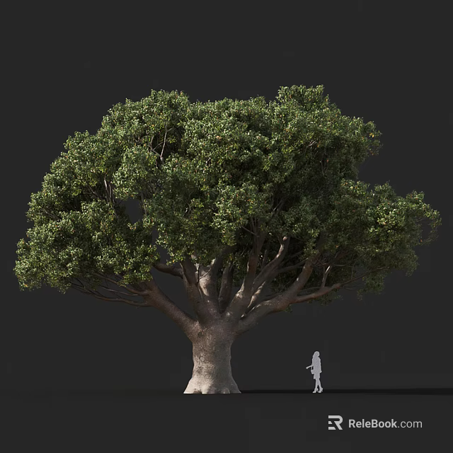 Large Leafy Arbor with Thick Trunk Lush Green Foliage and Small Figure for Scale 3d model 