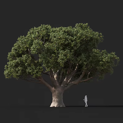 Modern Tree Red Crown Eucalyptus 3d model Modern Tree Red Crown Eucalyptus 3d model