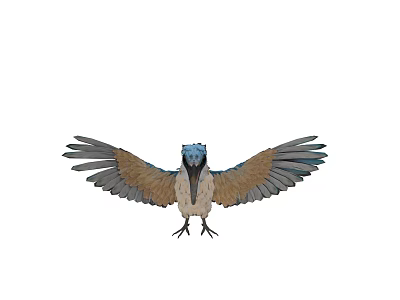 Vibrant Bird With Spread Wings Blue Head And Brown Feathers Standing 3d model