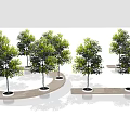 Landscape Seats In Tree Lined Green Outdoor Area With Curved Path Layout 3d model