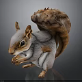 White and Brown Squirrel with Fluffy Tail Standing on Black Background