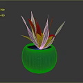 Green Leafy Plant in Blue Spherical Pot with Long Slender Leaves Against Gray Background