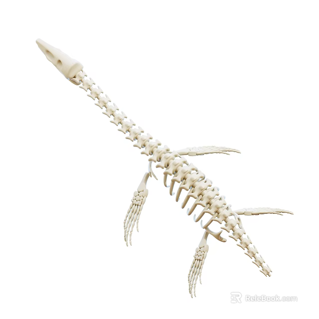 Unique Dinosaur Skeleton Decorative Ornament Set for Home Tabletop 3d model 