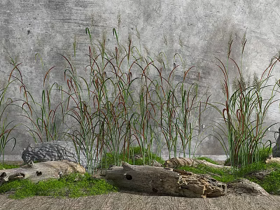 Tall Grasses With Green And Red Leaves Against Gray Wall With Stones And Wood Logs 3d model