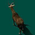 Realistic Brown Antelope With Curved Horns Standing On Green Background