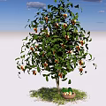 Fruit Bearing Arbor With Ripe Fruits And Basket On Green Grass Under Blue Sky