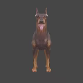 Low Poly Doberman 3D Model In Standing Pose With Tongue Out